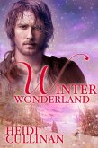 Winter Wonderland (Minnesota Christmas, #3) (eBook, ePUB)