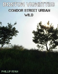 Cover Boston Vignettes - Condor Street Urban Wild (eBook, ePUB)