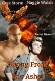 Rising From The Ashes Eternal Flames 2 (eBook, ePUB)