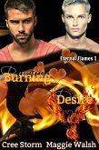 Burning Desire Eternal Flames 1 (eBook, ePUB)