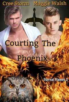 Cover Courting The Phoenix Eternal Flame 3 (eBook, ePUB)
