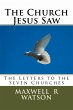 The Church Jesus Saw (eBook, ePUB) - Bild 1