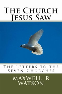 Cover The Church Jesus Saw (eBook, ePUB)