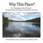 Why This Place? (eBook, ePUB)