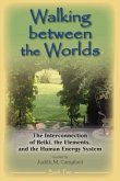 Walking Between the Worlds - Book II (eBook, ePUB)