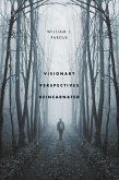 Visionary Perspectives Reincarnated (eBook, PDF)