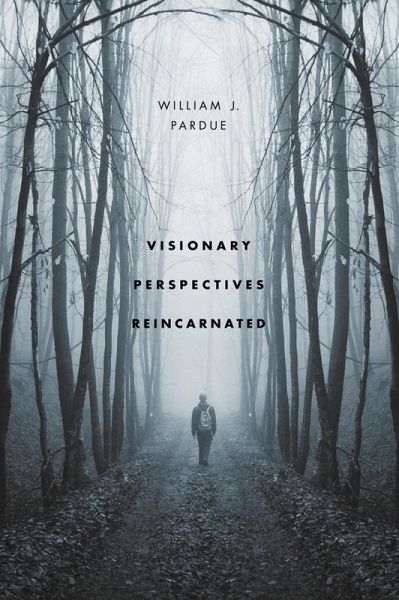 Visionary Perspectives Reincarnated (eBook, PDF) Visionary Perspectives Reincarnated (eBook, PDF)