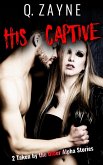 His Captive (eBook, ePUB)