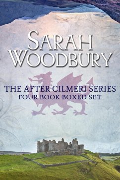 Cover The After Cilmeri Series Boxed Set (eBook, ePUB)