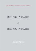 Being Aware of Being Aware (eBook, ePUB)