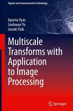 Multiscale Transforms with Application to Image Processing - Vyas, Aparna;Yu, Soohwan;Paik, Joonki