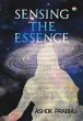 Sensing the Essence (eBook, ePUB) - Bild 1