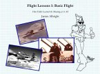 Flight Lessons 1: Basic Flight (eBook, ePUB)
