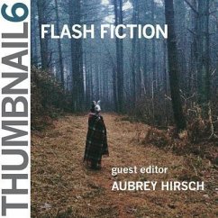 Cover Thumbnail 6: Flash Fiction (eBook, ePUB)