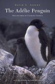 The Adélie Penguin (eBook, ePUB)
