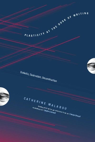 Plasticity at the Dusk of Writing (eBook, ePUB)