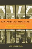 Fantasies of the New Class (eBook, ePUB)