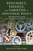 Efficiency, Finance, and Varieties of Industrial Policy (eBook, ePUB) Efficiency, Finance, and Varieties of Industrial Policy (eBook, ePUB)