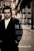 At the End of the Street in the Shadow (eBook, ePUB)