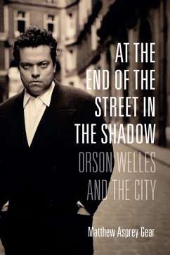 Cover At the End of the Street in the Shadow (eBook, ePUB)