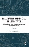 Imagination and Social Perspectives