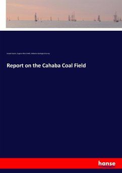 Report on the Cahaba Coal Field - Squire, Joseph;Smith, Eugene Allen;Geological Survey, Alabama