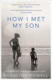 How I Met My Son (eBook, ePUB)