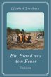 Ein Brand aus dem Feuer (eBook, ePUB) - Bild 1