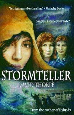 Cover Stormteller (eBook, ePUB)