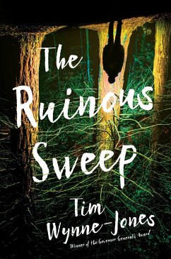 The Ruinous Sweep - Wynne-Jones, Tim