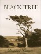 Black Tree (eBook, ePUB) - Bild 1