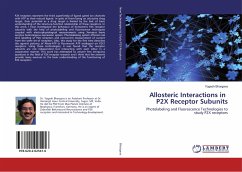 Allosteric Interactions in P2X Receptor Subunits