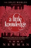 A Little Knowledge (eBook, ePUB)
