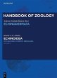 Echinoidea (eBook, PDF) - Bild 1