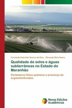 Qualidade de solos e águas subterrâneas no Estado do Maranhão - Soares da Silva, Fernanda Gabrielle;Silva Nunes, Gilvanda