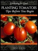 Planting Tomatoes (eBook, ePUB)