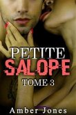 Petite SALOPE Tome 3 (eBook, ePUB)