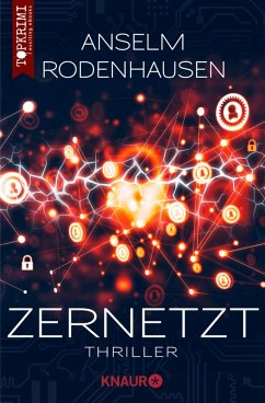Zernetzt (eBook, ePUB) - Rodenhausen, Anselm
