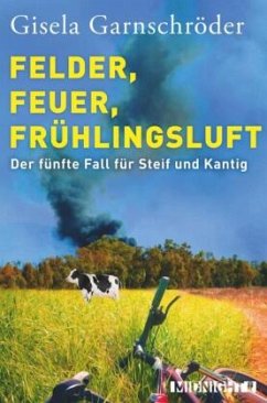 Felder, Feuer, Frühlingsluft / Steif und Kantig Bd.5 - Garnschröder, Gisela