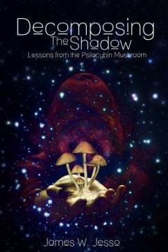 Cover Decomposing The Shadow (eBook, ePUB)