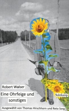 Eine Ohrfeige und sonstiges - Walser, Robert