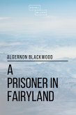 A Prisoner in Fairyland (eBook, ePUB)