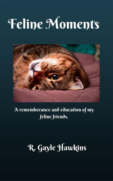 Feline Moments (eBook, ePUB)