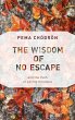 The Wisdom of No Escape - Bild 1