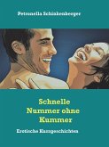 Schnelle Nummer ohne Kummer (eBook, ePUB)