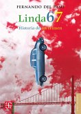 Linda 67 (eBook, ePUB)