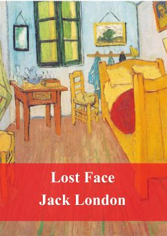 Cover Lost Face (eBook, PDF)