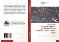 Cover Analyse d'erreur a-posteriori pour le problème couplé Stokes-Darcy