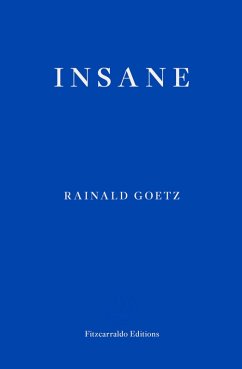 Insane (eBook, ePUB) - Goetz, Rainald