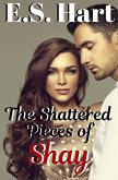The Shattered Pieces of Shay (eBook, ePUB)